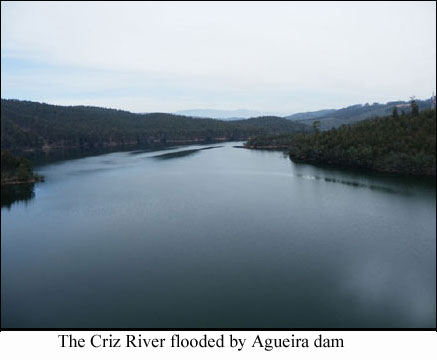 The Criz river at Santa Comba Dao
